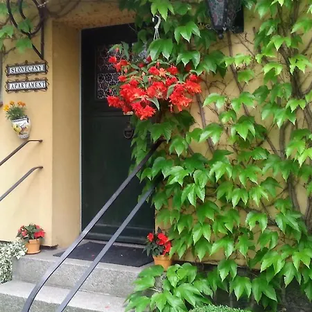 Under Cedar Apartman Sobótka