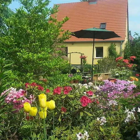Apartman Under Cedar Sobótka